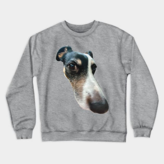 big nose dog funny meme Crewneck Sweatshirt by maoudraw